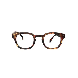 IZIPIZI Reading Shape #C  3 Tortoise
