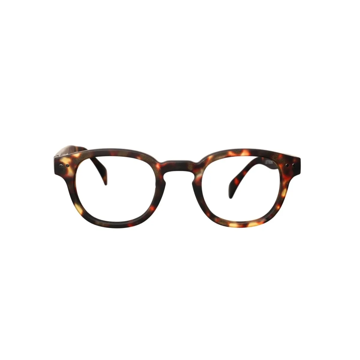 IZIPIZI Reading Shape #C  3 Tortoise